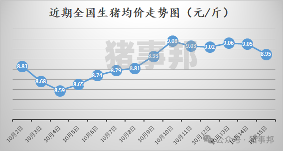 10月15日猪价汇总（大面积下跌，均价再度破9元/斤！）